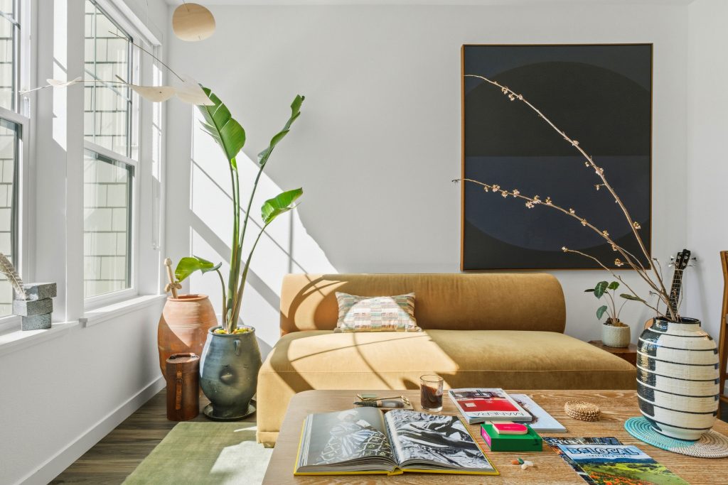 Living room with sun shining in on a plant and couch, designed by Carlos Martinez
