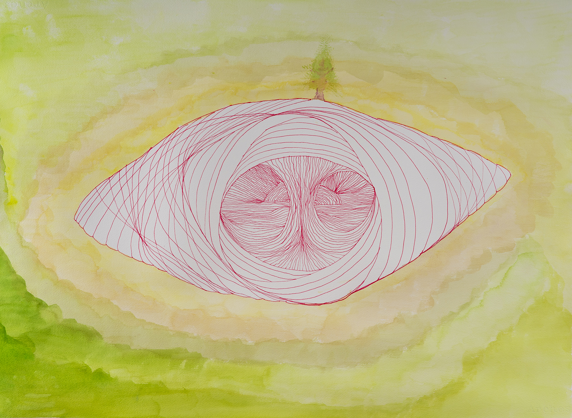 The practice of noticing