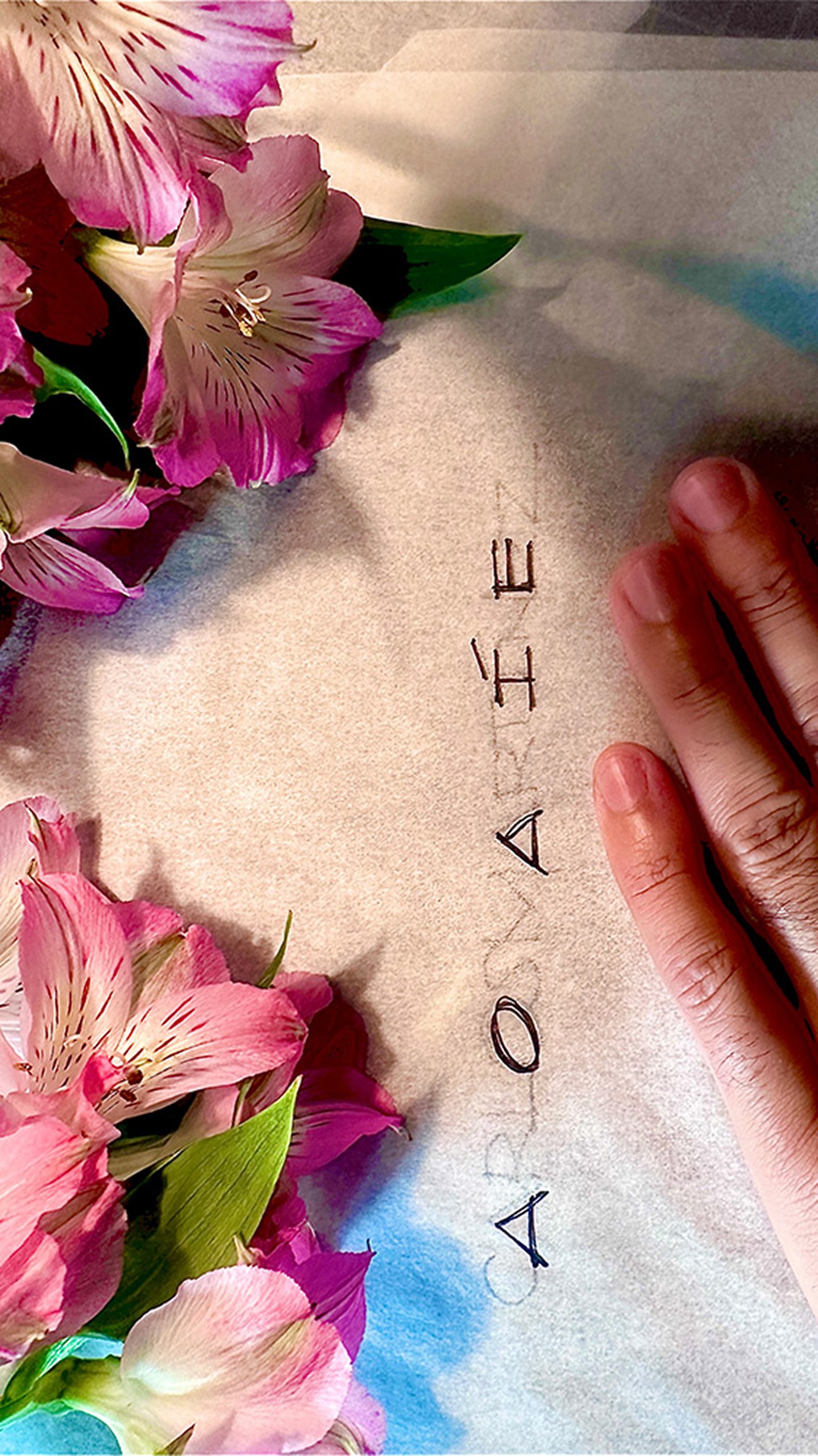 Flowers with a hand
