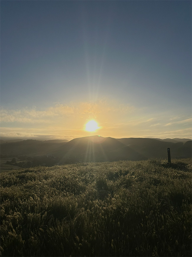 Sunset